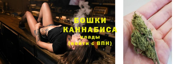 spice Вязьма