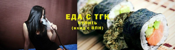 гидра Вяземский