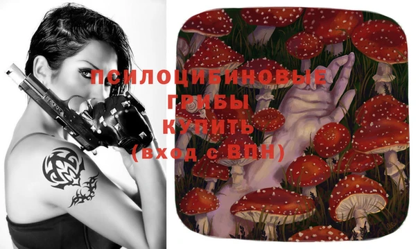 spice Вязьма
