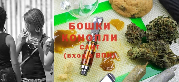 гидра Вяземский