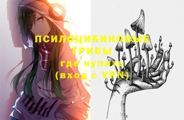 spice Вязьма