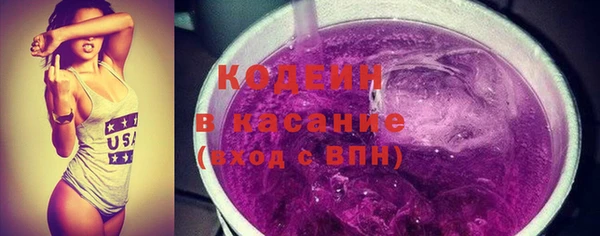 гидра Вяземский