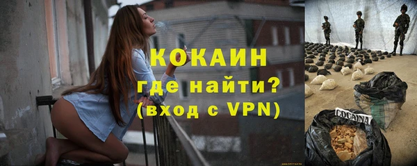 гидра Вяземский