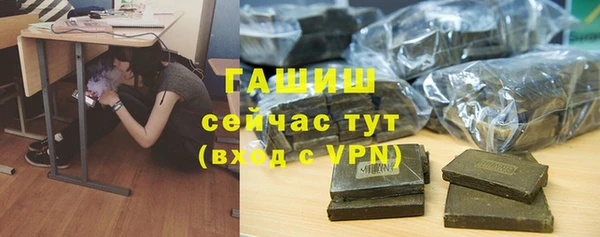 гидра Вяземский